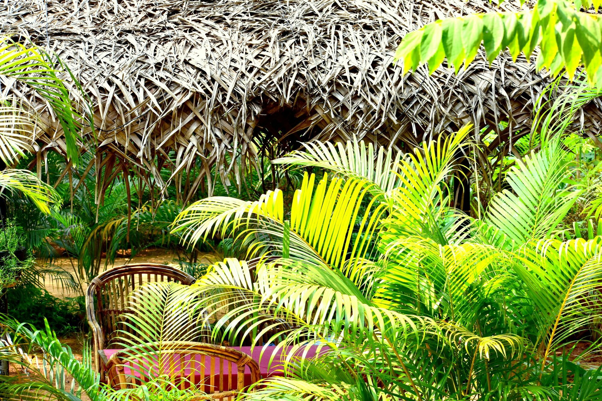 Patnem Garden Resort Патнэм Экстерьер фото